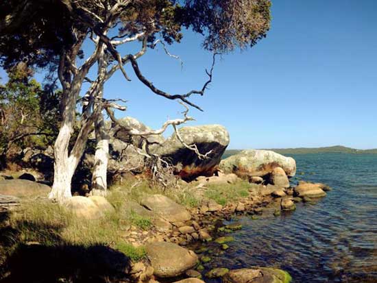 Bibbulmun Track Denmark Wilson Inlet