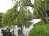 Berridge Park, Denmark Australia