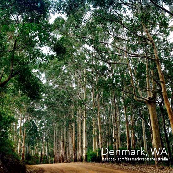 Denmark Western Australia