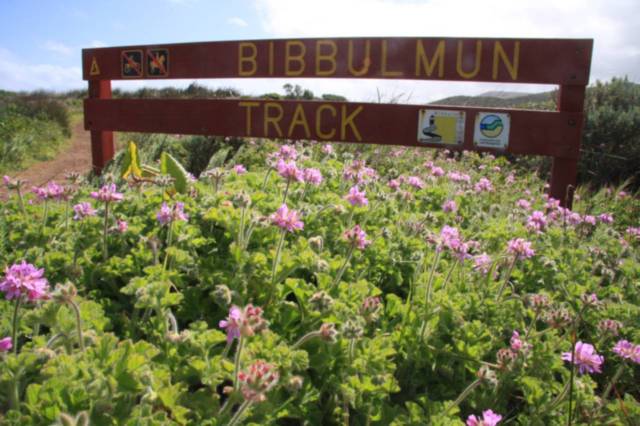 Western Australian Bibulmun Track