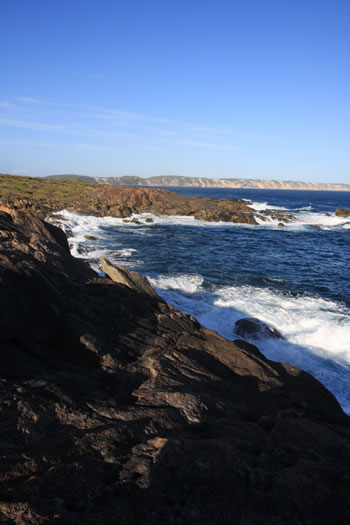 Wilson Head and Nullaki