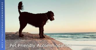 Pet Friendly Accommodation in Denmark WA